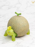 Taurus Workshop - Vegetable Fairy - Turtle Melon [INSTOCK]